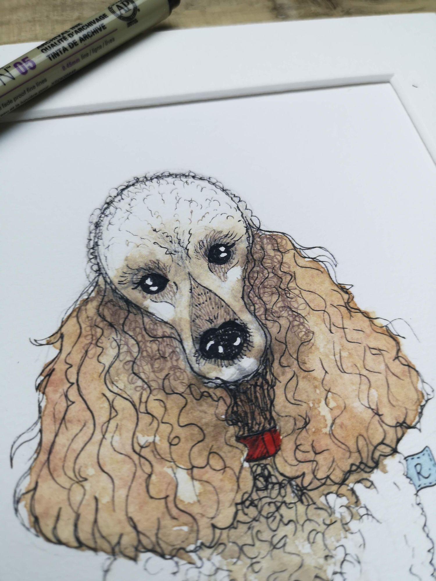dog portraits