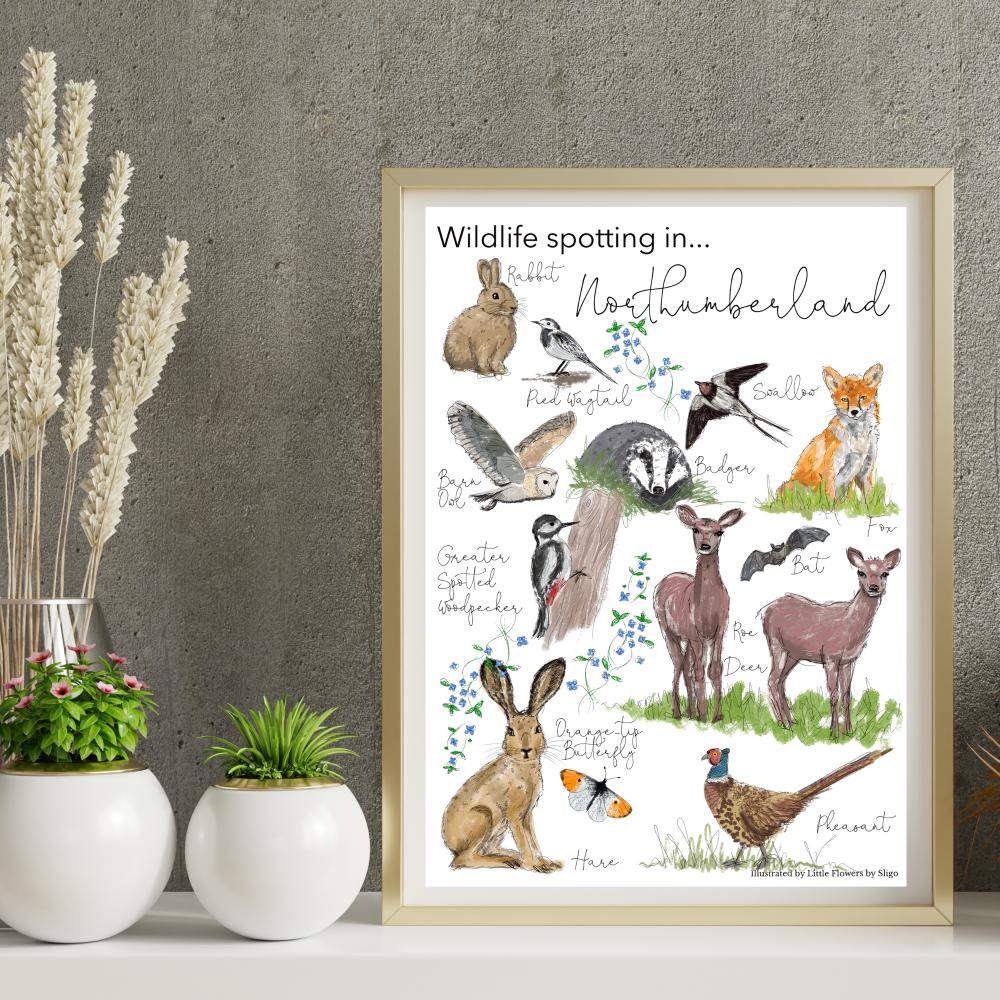 Northumberland Wildlife Poster