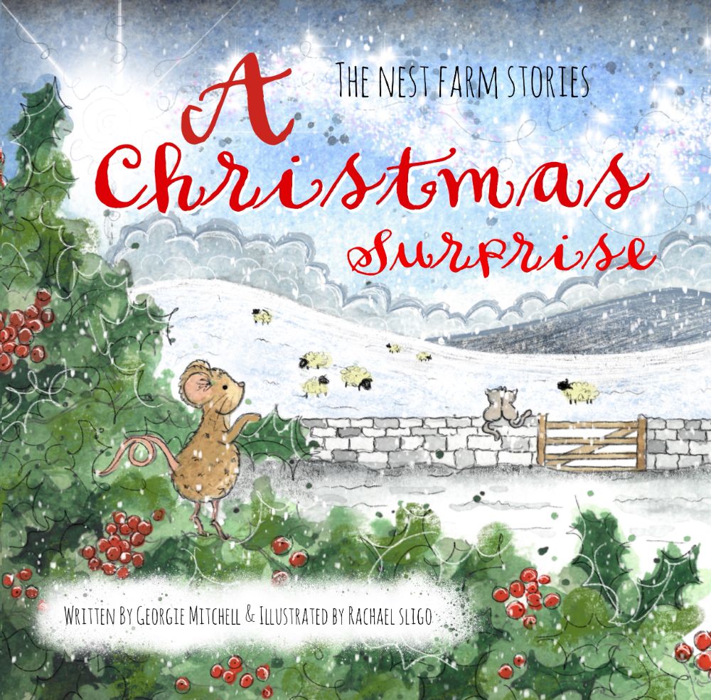 A Christmas Surprise - By Georgie Mitchell