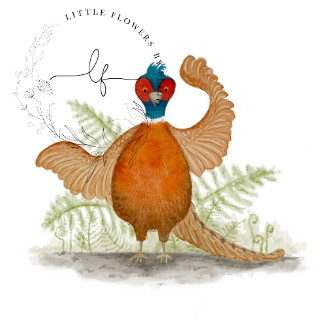 Phil the Pheasant - Illustration Print