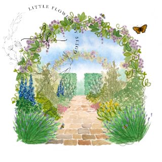 Walled Garden Walk - Illustration Print
