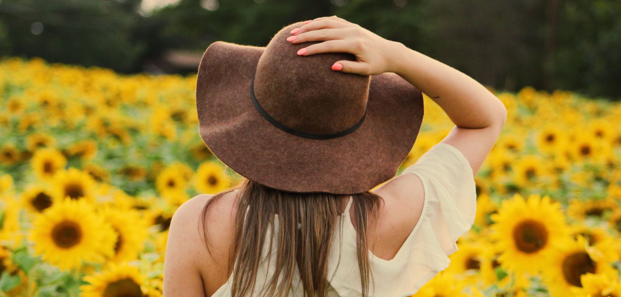Sunflower image with hat