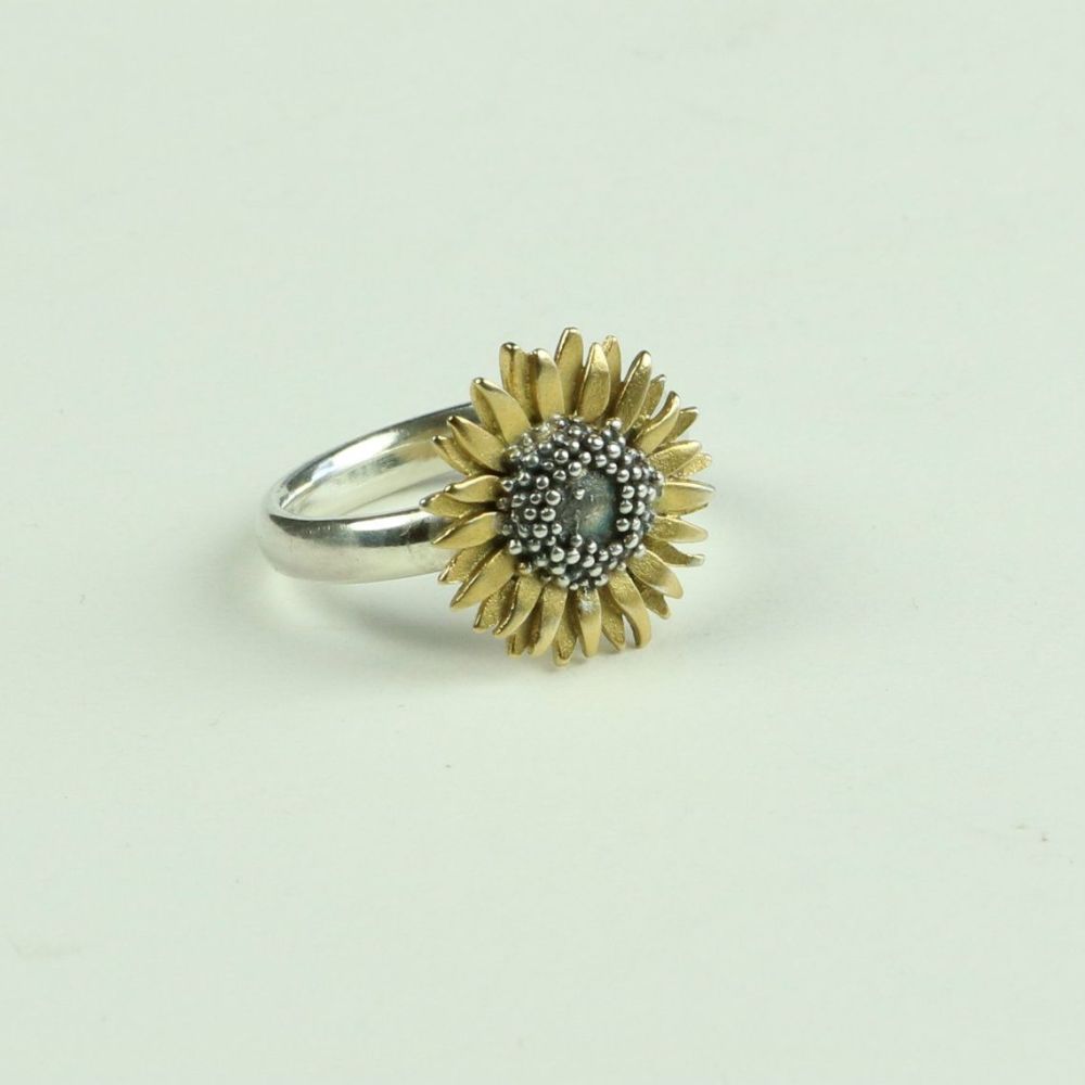  Small Ring SR 1 