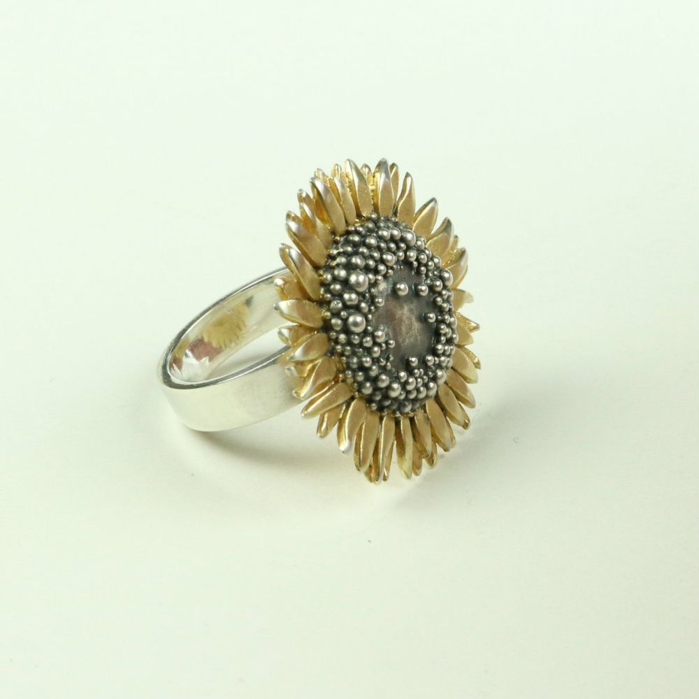 Large Ring SR 3