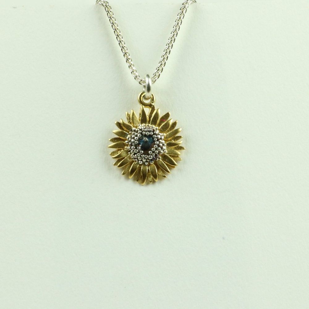 Small Pendant SP 1