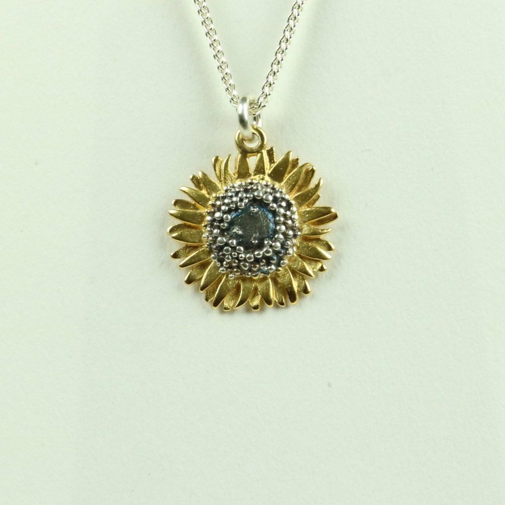 Medium Pendant SP 2