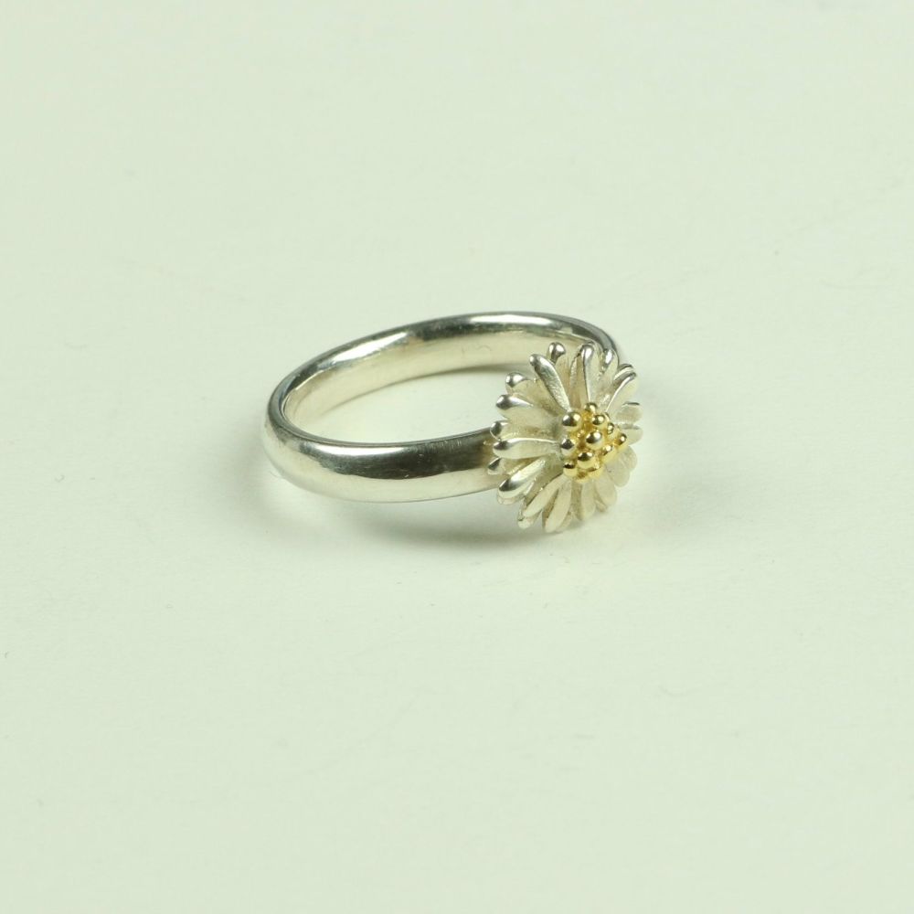  Small Ring DR 1