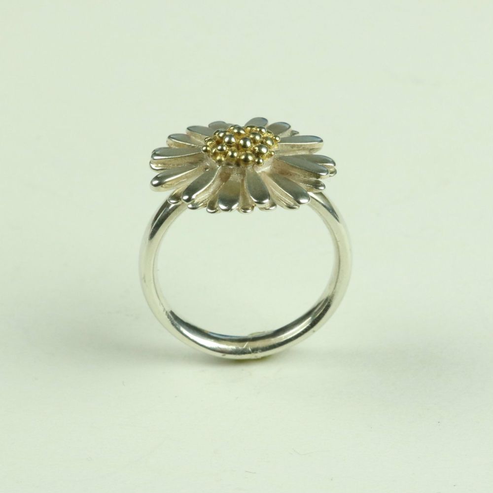  Large Ring DR 3