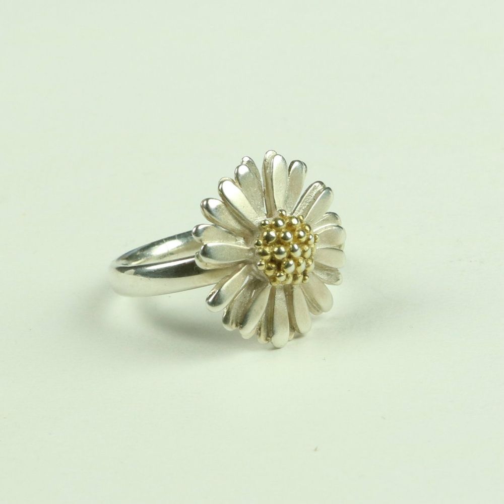  Large Ring DR 3