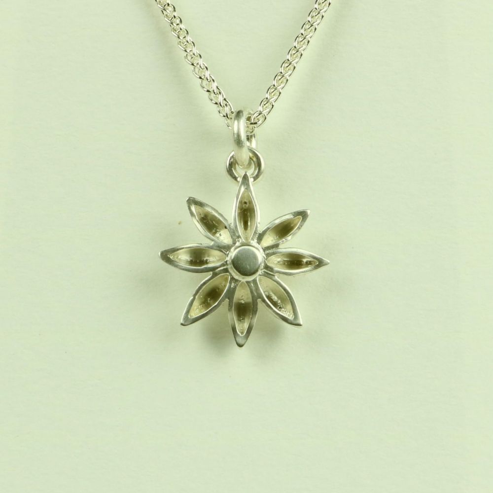  Medium Pendant AP 2