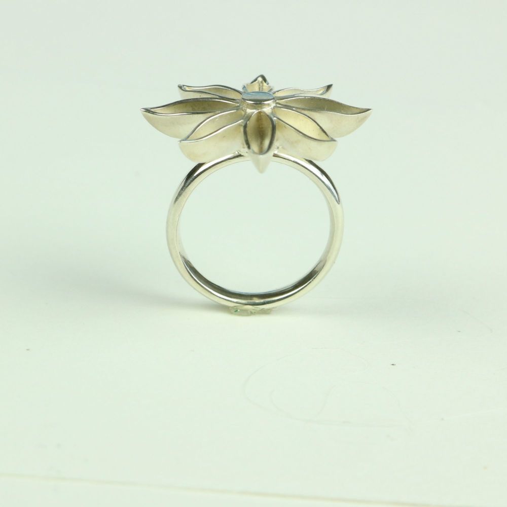  Large Ring AR 3