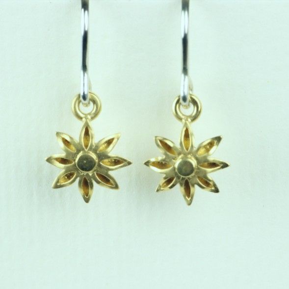 Small Drop Earrings AED 1G