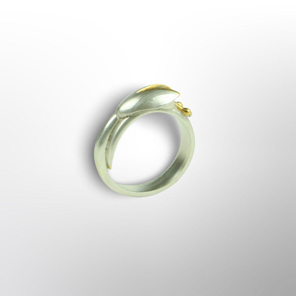 Ring FR 1