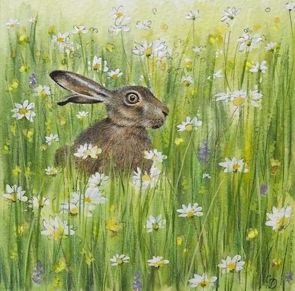 'Meadow Hare' Hand-Signed Print