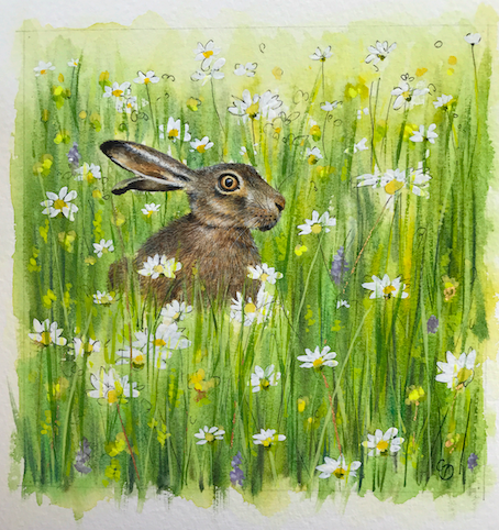 'Hare in Meadow' Original Painting (SOLD)