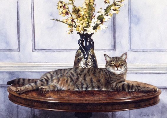 'Reclining Tabby' Hand-Signed Print
