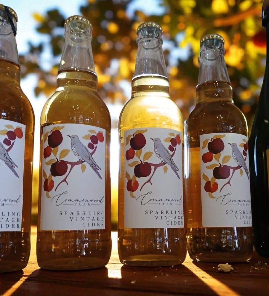 2024 Vintage Cider - 500ml bottle (12 in a case)