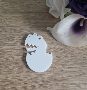 Dinosaur in Egg Acrylic Blank
