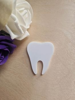 Tooth Acrylic Blank (No Hole)