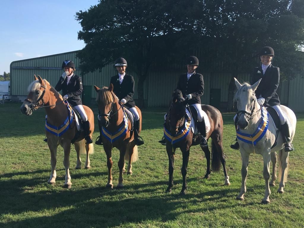 Dressage Team