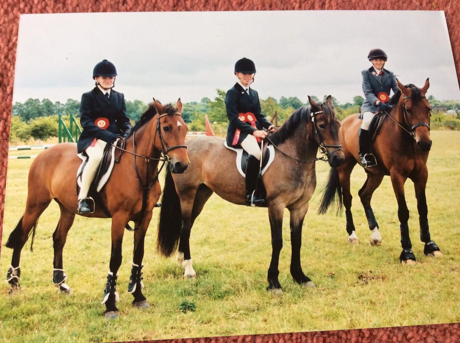 Showjumping team