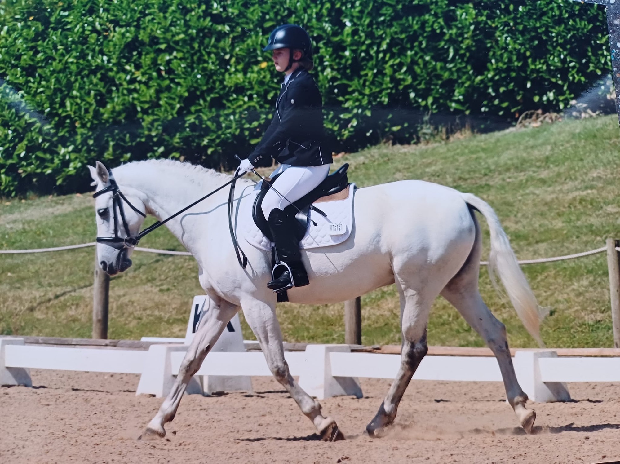 Rearsby Dressage