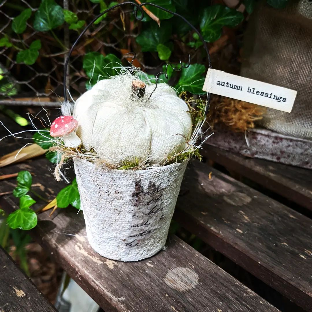 Peat Pot Pumpkin Workshop - 13th or 14th Oct 2023  - IMAGE TO FOLLOW