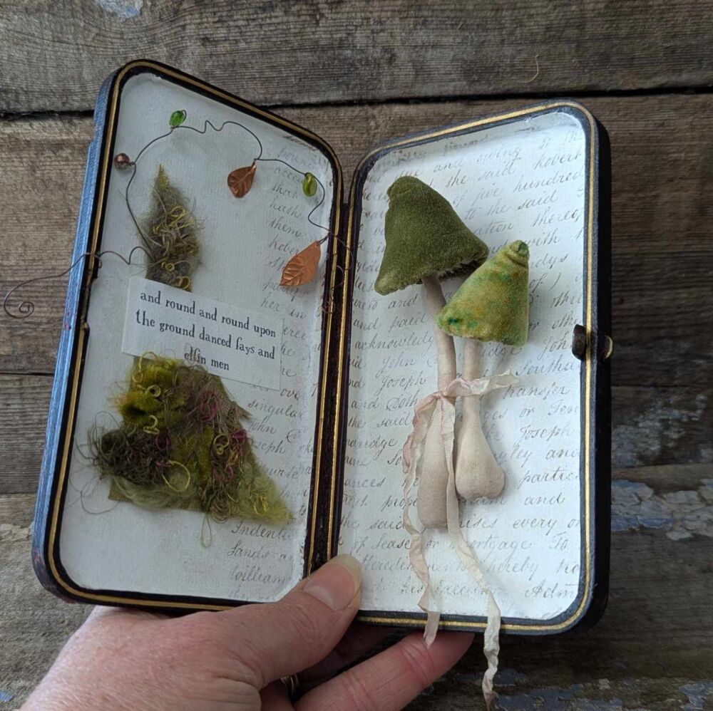 Toadstool Art Box 5