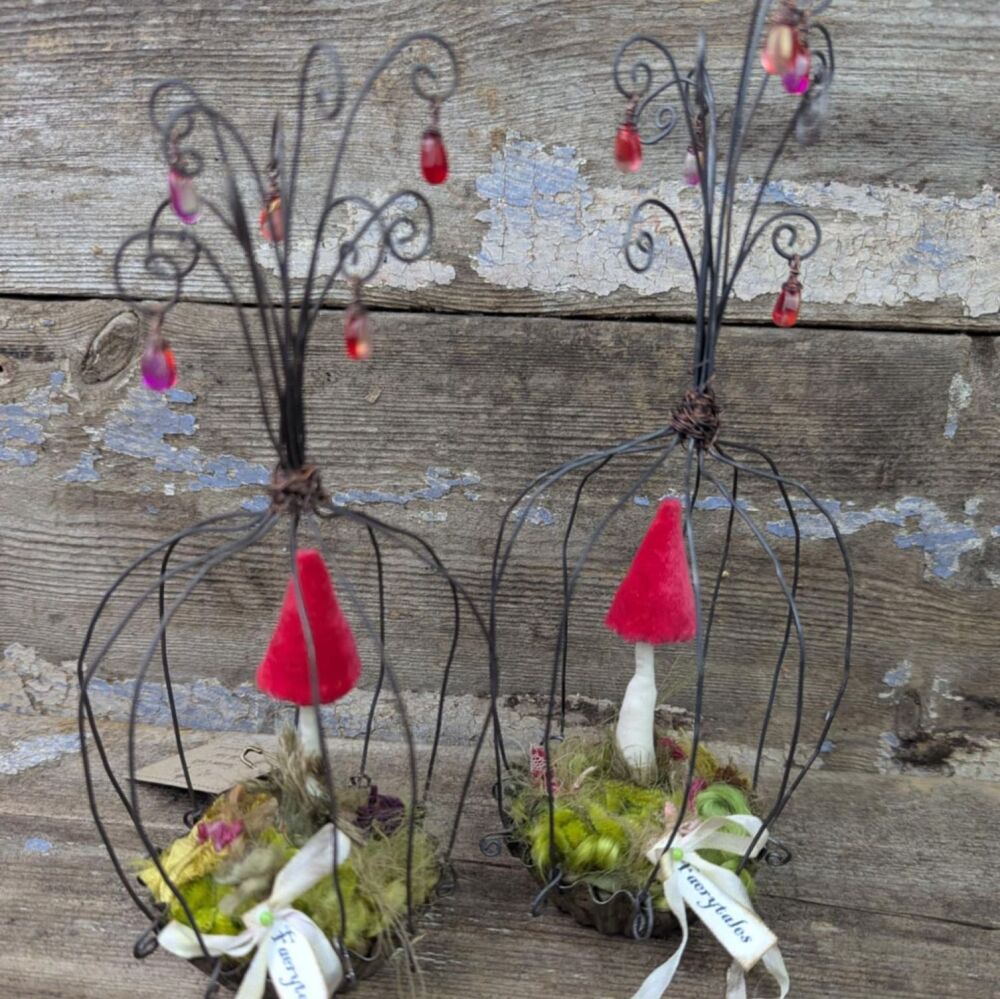 Velvet Toadstool in Birdcage