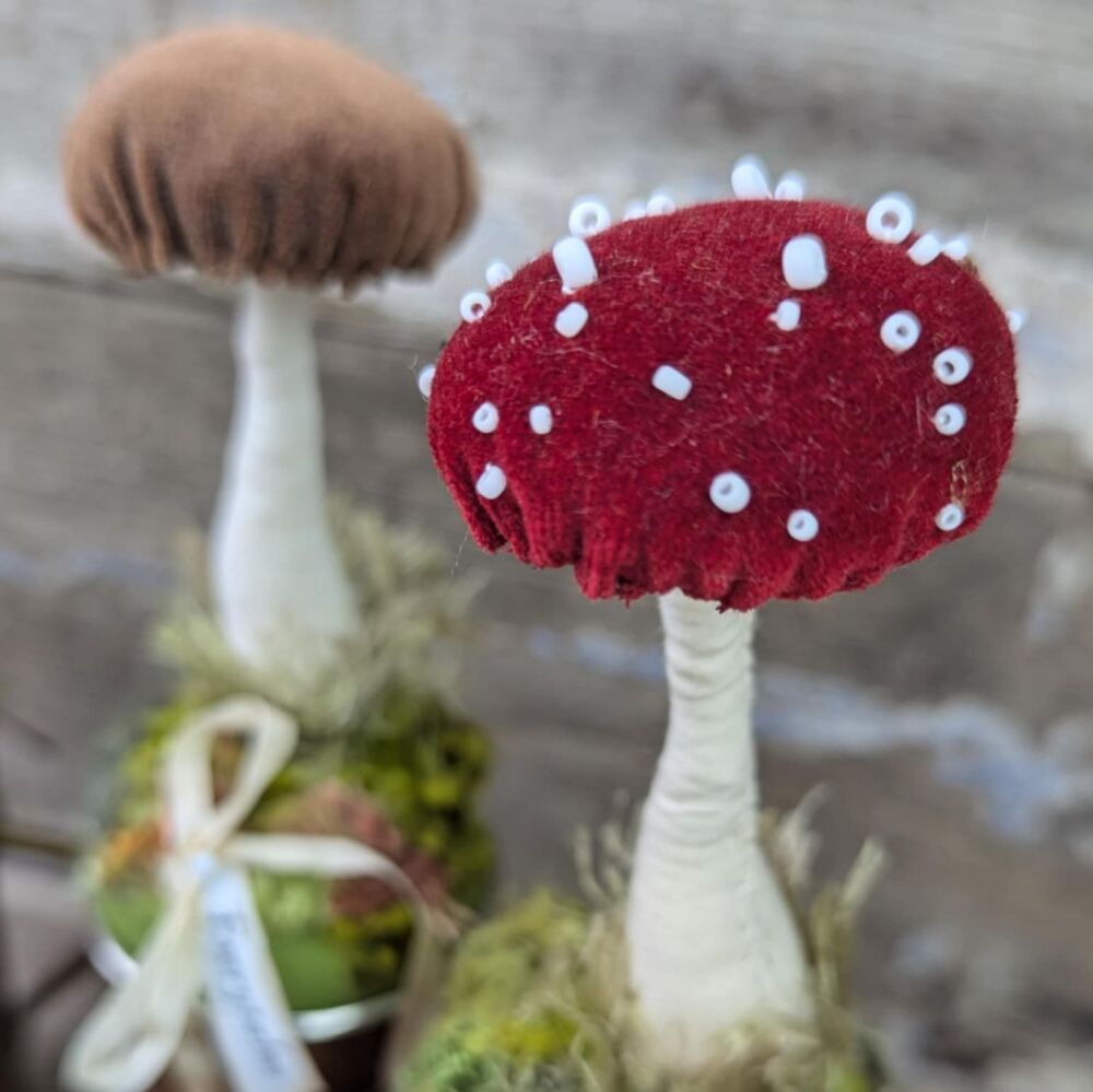 Brown Velvet Toadstool  in Copper Measure.