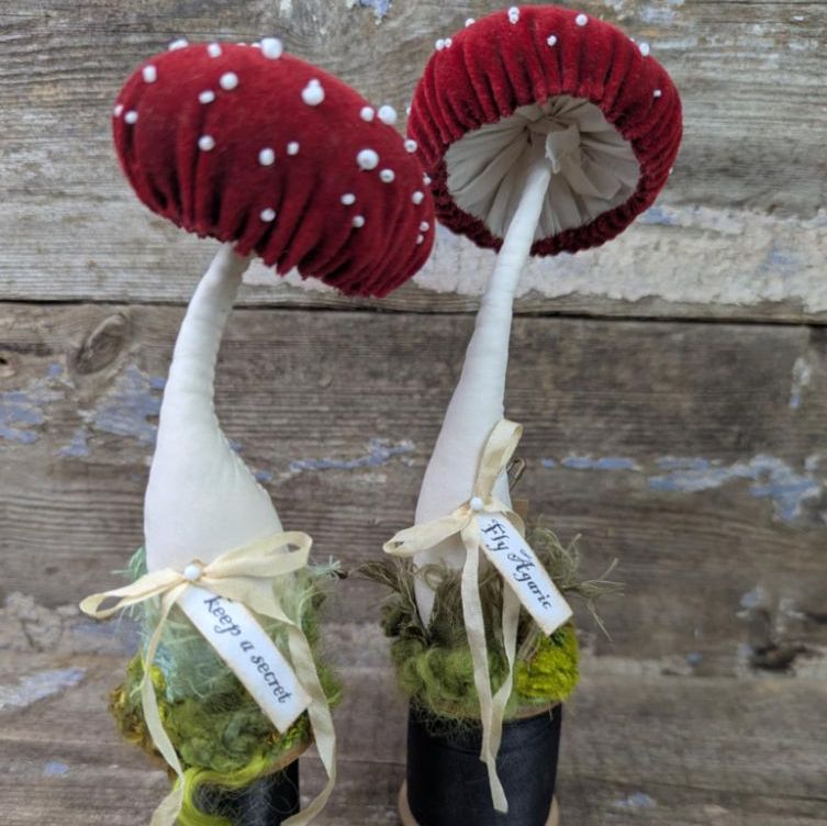 Fly Agaric & Other Velvet Toadstools