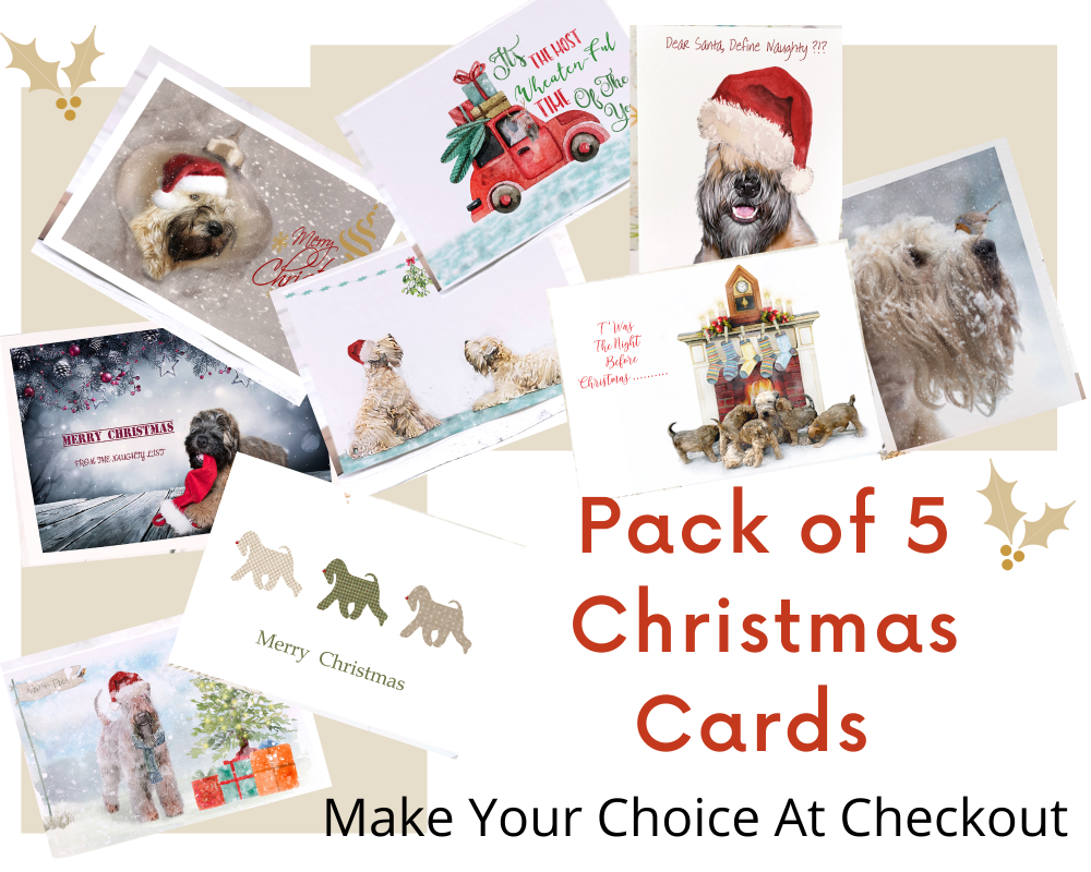 Pack Of Christmas Cards x 5
