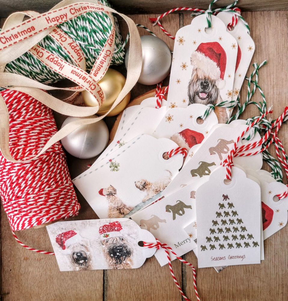 Mixed Christmas Gift Tags x 10