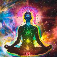 Introduction to the Chakras