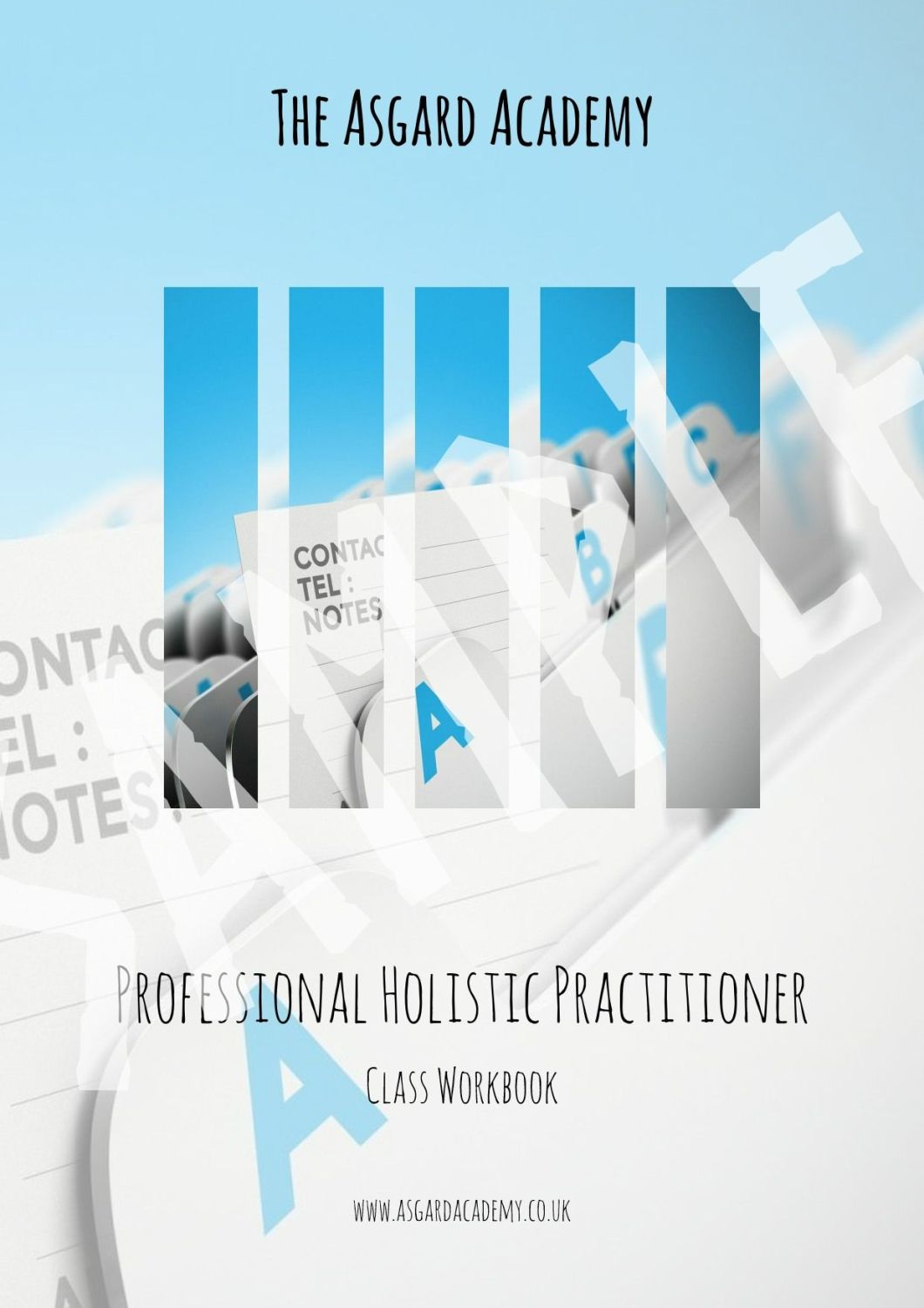Professional Holistic Practitioner - Printed Workbook
