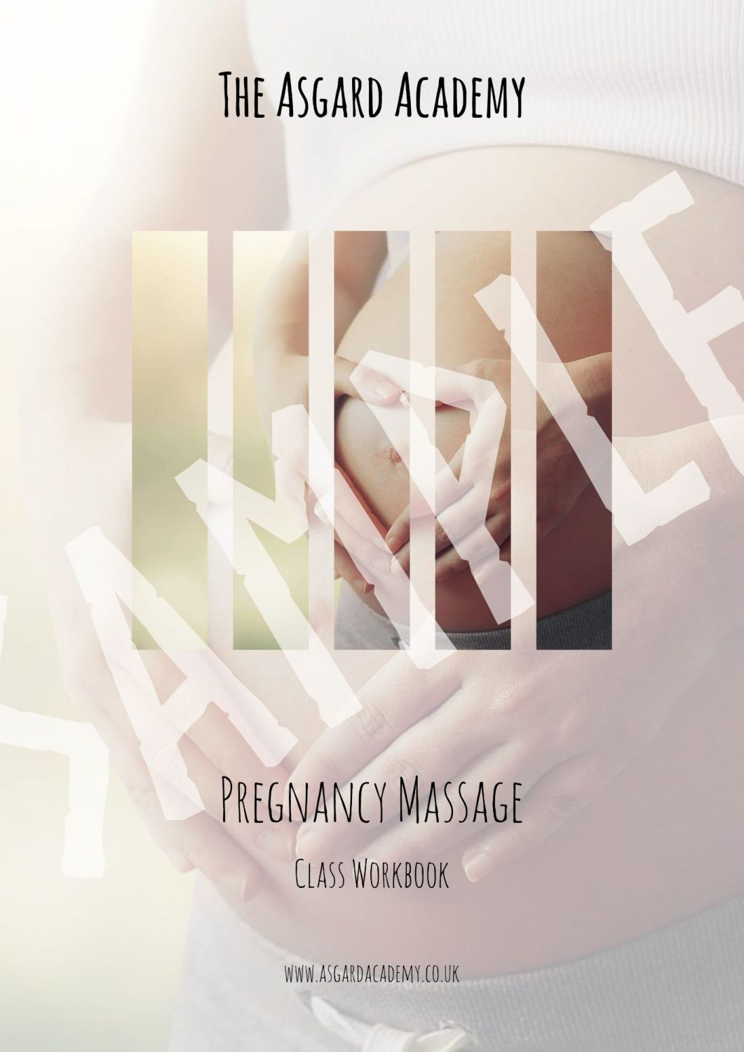 Pregnancy Massage - Printed Workbook