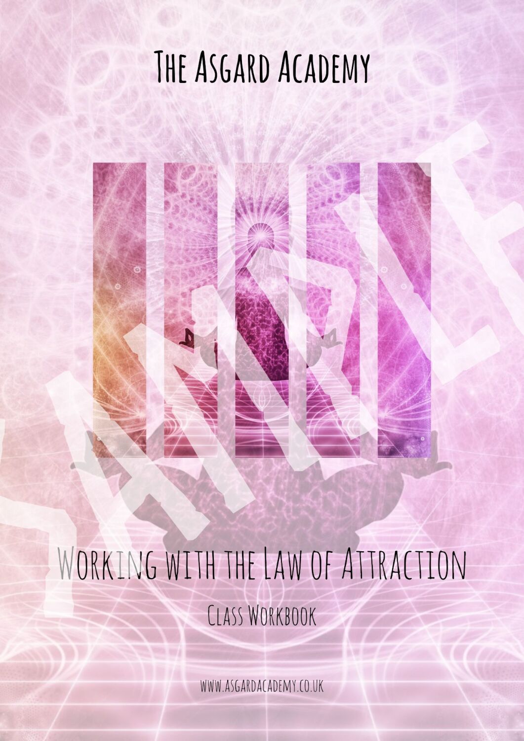 Working with the Law of Attraction - Printed Workbook