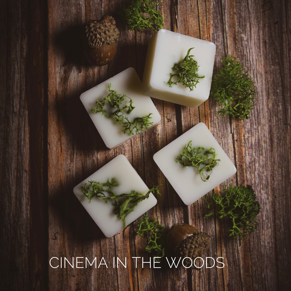 Cinema in the Woods