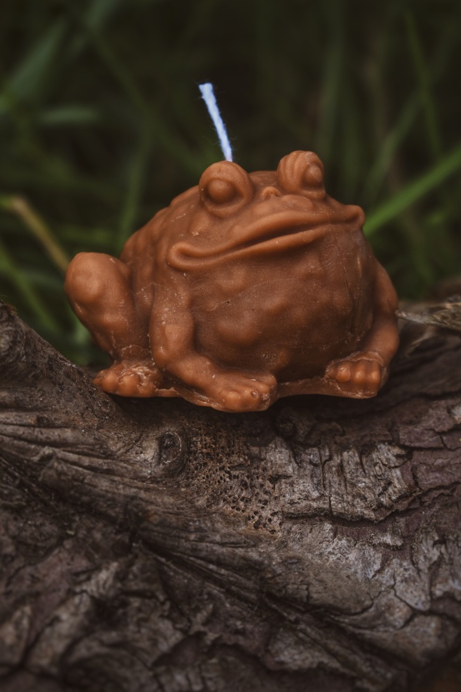 The Toad