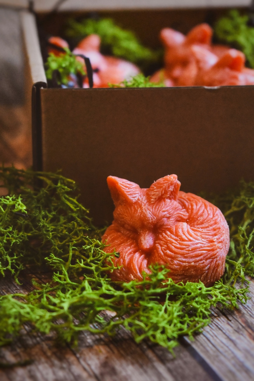 Sleeping Foxes