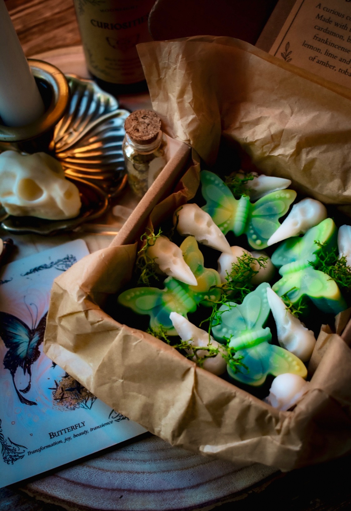 Bones & Butterflies Box