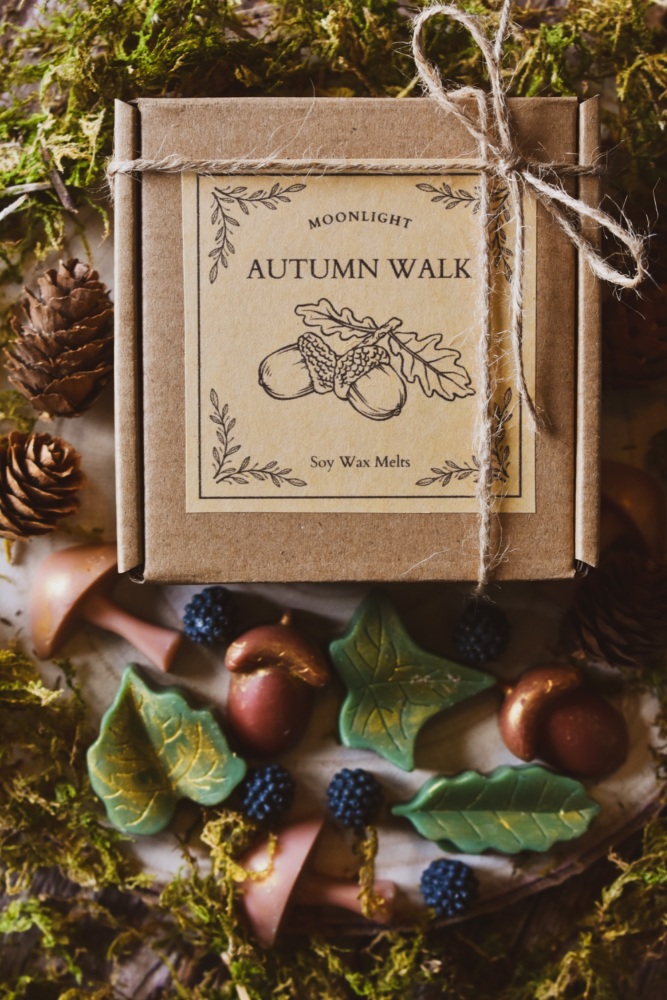 Autumn Walk