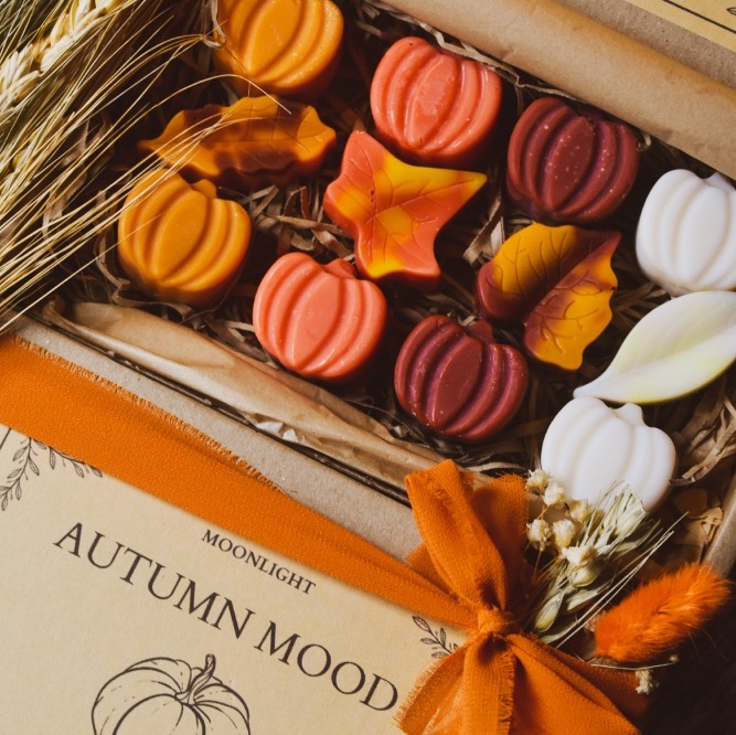 Autumn Mood Collection