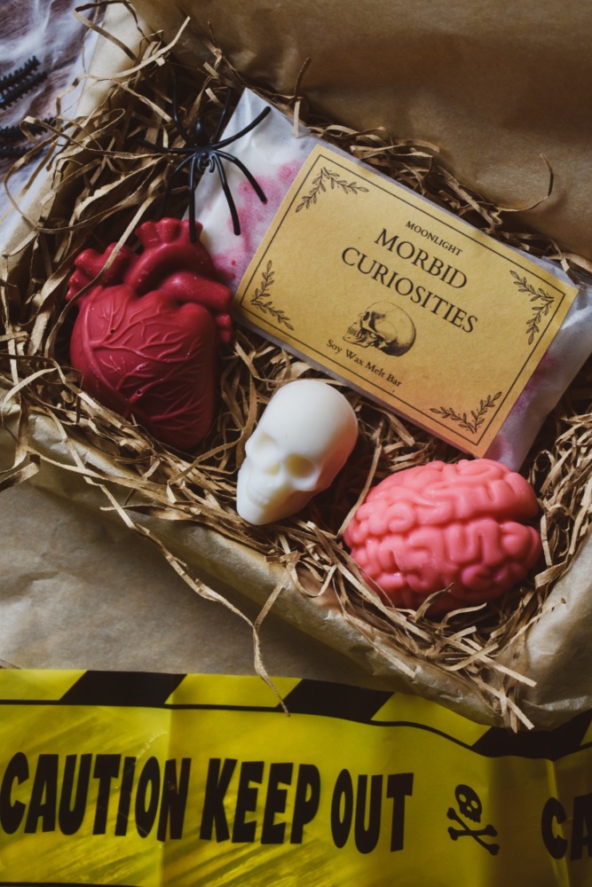 Morbid Curiosities Box