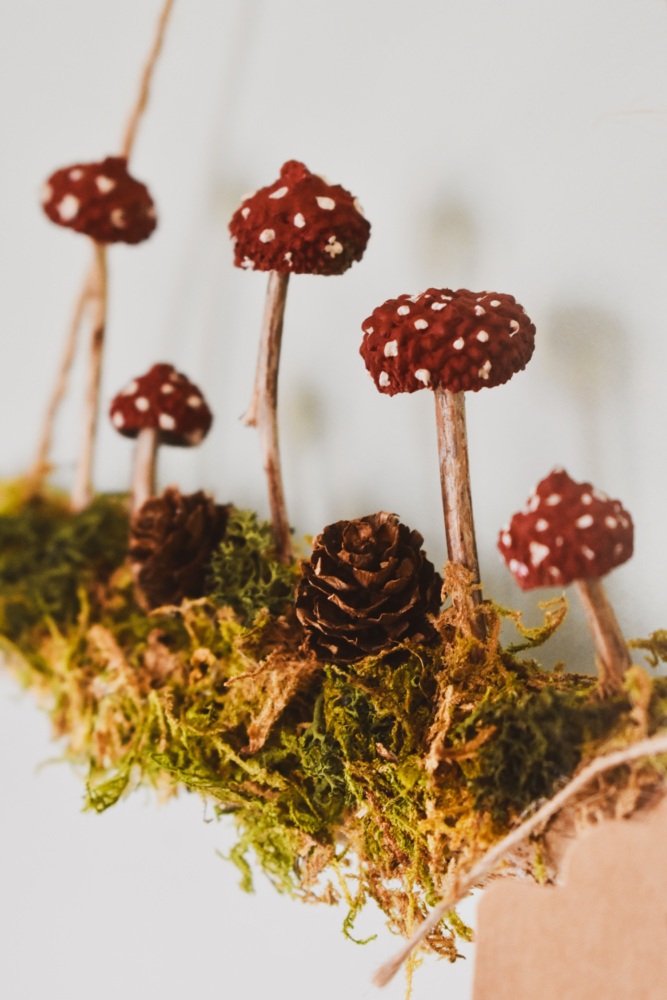 Forest Floor Hanging Log