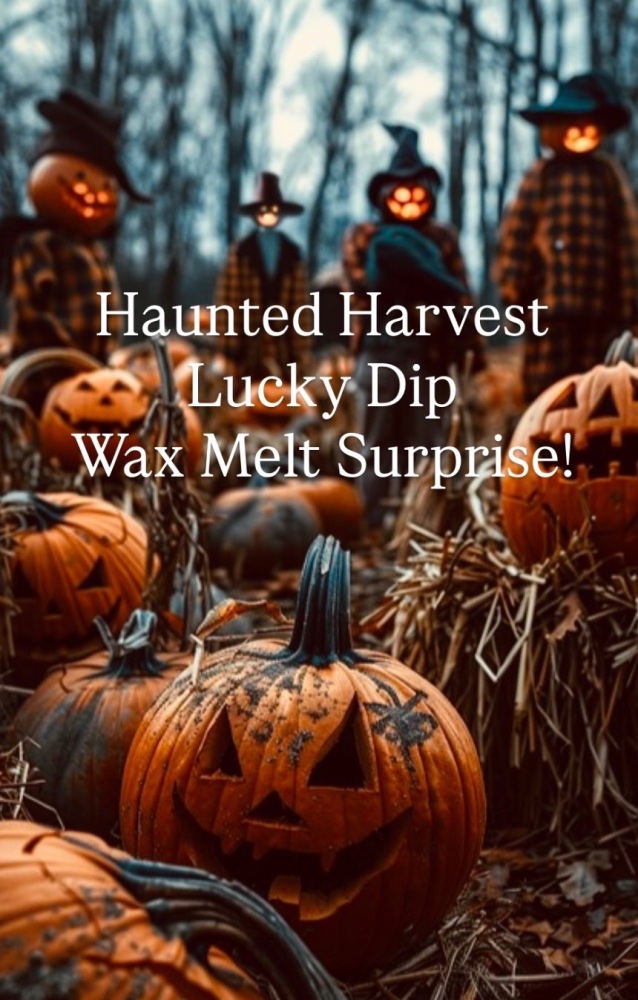 Lucky Dip Wax Melt Surprise