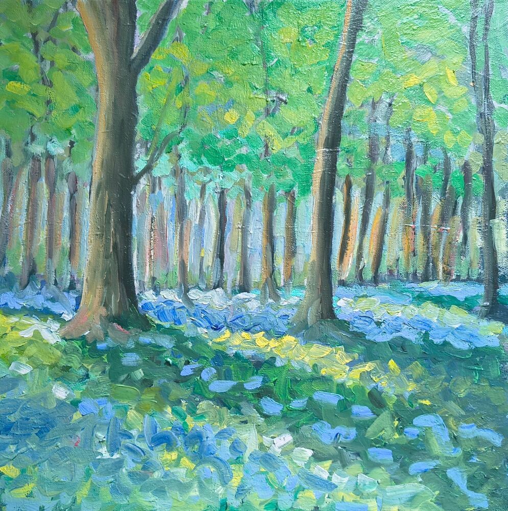 Bluebell Woods