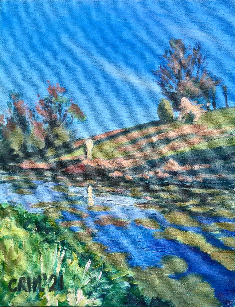 Salmon's Leap