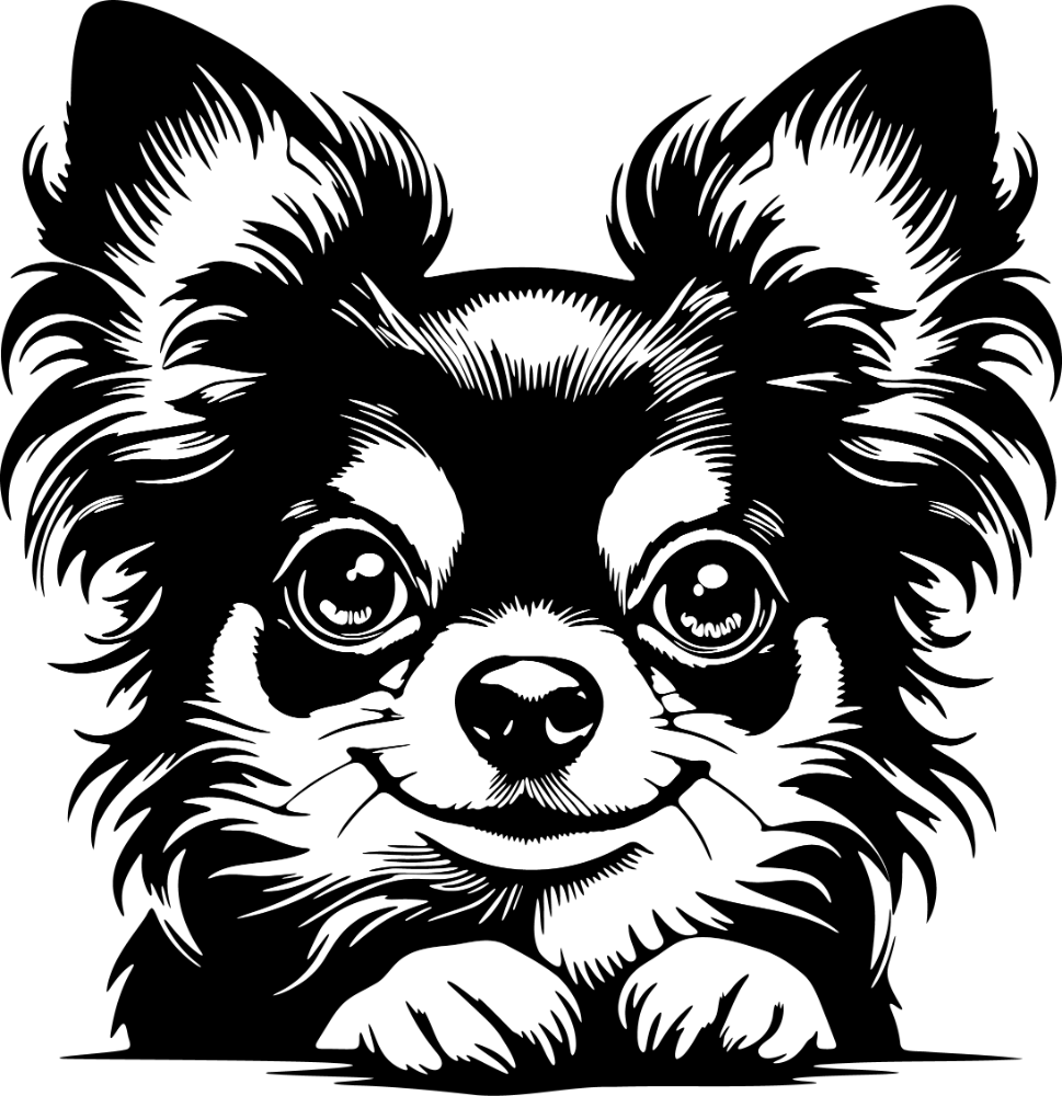 CHIHUAHUA DESIGNS