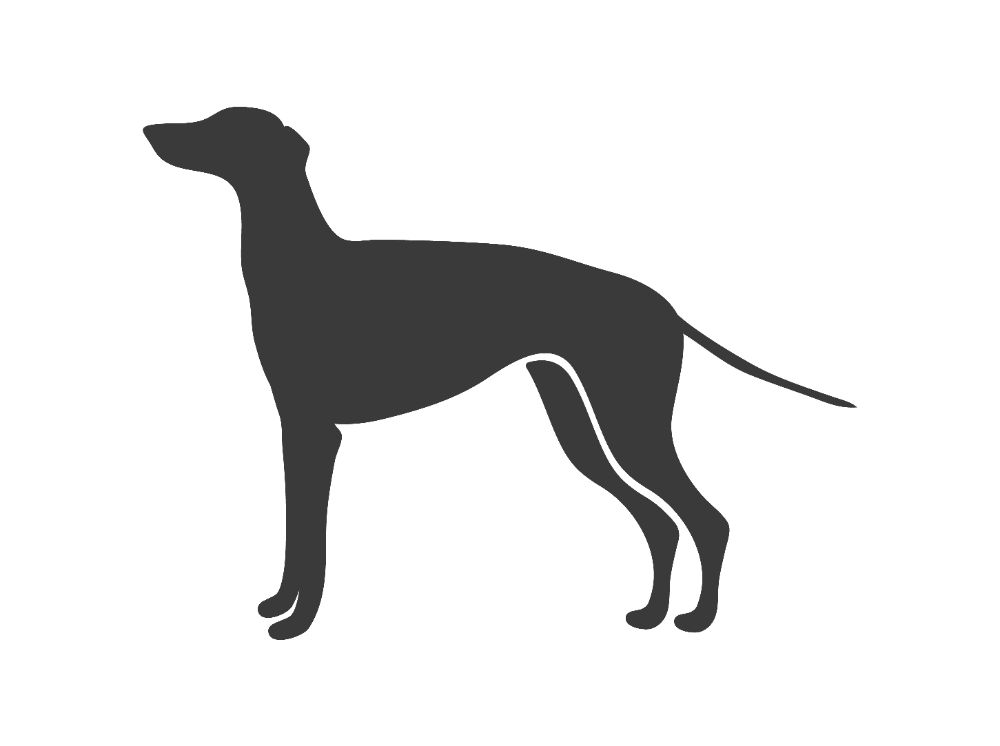 GREYHOUND/WHIPPET DESIGNS